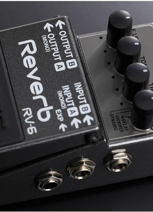 BOSS RV 6 Reverb Guitar Pedal (RV 6)
