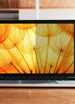 3M Bright Screen Privacy Filter for 12.5in Laptop, 16:9, BP125W9B