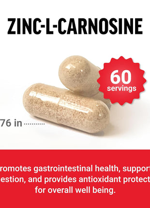 Force Factor Zinc L-Carnosine Capsules | Support Gastric & Digestive Health, Digestion & Bloating Supplement, Vegan, Non-GMO, No Gelatin, 120 Capsules