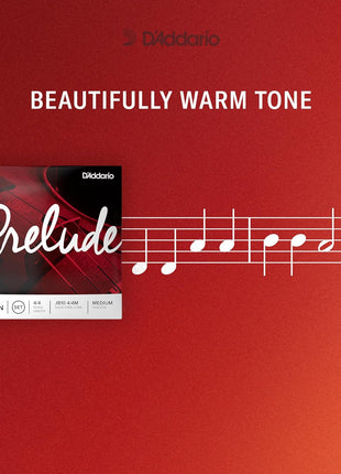 D'Addario Prelude Violin String Set, 4/4 Scale, Medium Tension
