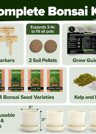 Bonsai Tree Kit Gifts for Men & Women - Grow 4 Bonsai Trees - Unique Gardening Crafts for Adults, DIY Hobbies for Plant Lovers & Gardeners - Unusual Christmas Gift Ideas for Mom & Dad