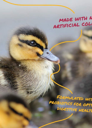 Manna Pro Duck Starter Grower Crumble | Non-Medicated Feed for Young Ducks | Supports Healthy Digestion | 25 Pounds