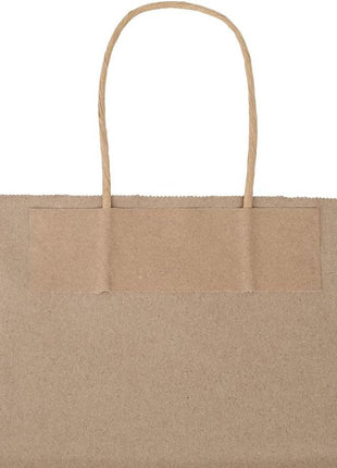 bagmad 100 Pack 8x4.75x10 Inch Plain Medium Paper Bags with Handles Bulk, Brown Kraft Craft Gift Bags, Grocery Shopping Retail Birthday Party Favors Wedding Sacks (Natural Brown, 100pcs)