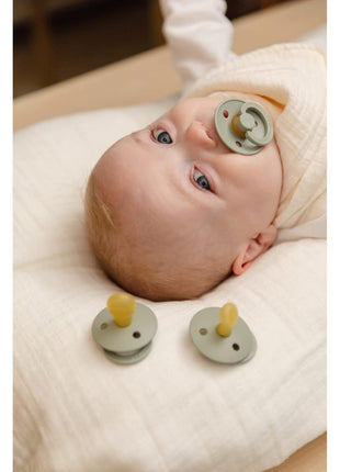 BIBS Pacifiers Colour Collection | Natural Rubber Baby Pacifier | Set of 2 BPA-Free Soothers | Made in Denmark | 0+ Months (Pack of 2) | Dusty Blue/Steel Blue