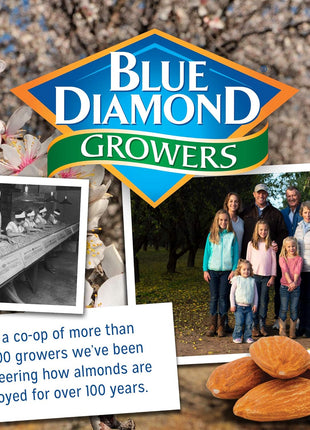 Blue Diamond Almonds Honey Roasted Snack Almonds, Honey Roasted, 1 Pound (Pack of 1)