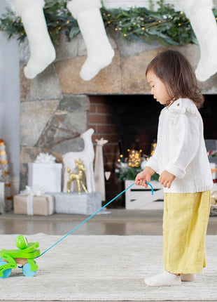 Melissa & Doug First Play Frolicking Frog Wooden Pull Toy
