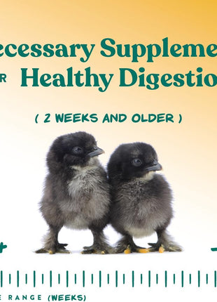 Manna Pro Chick Grit Digestive Supplement for Young Growing Poultry & Bantam Breeds, No Artificial Ingredients or Preservatives, Natural Supplement with Insoluble Crushed Granite, 5 lbs