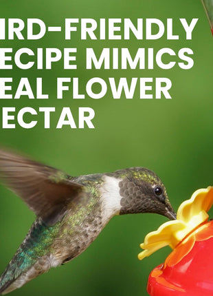 Perky-Pet Hummingbird Instant Nectar Powder Concentrate - 2 lb Bag - 244SFB - Makes 192 oz of Humming bird Liquid Food Nectar - 100% Sucrose