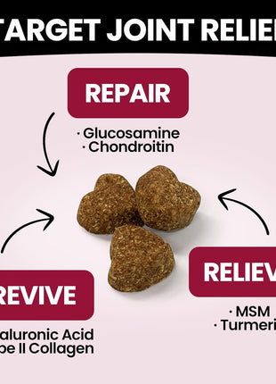 Glucosamine for Dogs Hip and Joint Supplement Chews & Probiotics for Dogs - Dog Probiotics with 5 Enzymes & 4 Prebiotics