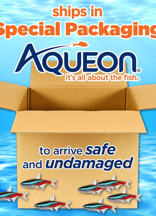 Aqueon LED MiniBow Small Aquarium Fish Tank Kit with SmartClean Technology, Black, 5 Gallon