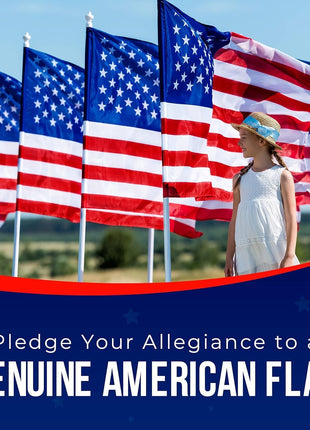American Flag Made in USA | American Flags for Outside 3X5 | Premium US Flag 3X5 Heavy Duty Outdoor with Embroidered Stars and Sewn Stripes.