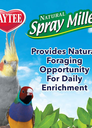 Kaytee Spray Millet Treat for Pet Birds, 7 Ounce