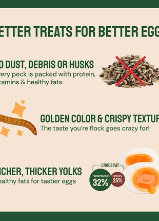 Hatortempt Bulk Dried Mealworms - 10 Lb Bag - Non-GMO Dried Mealworms for Chickens, Ducks & Wild Birds - High-Protein Chicken Feed & Bird Food
