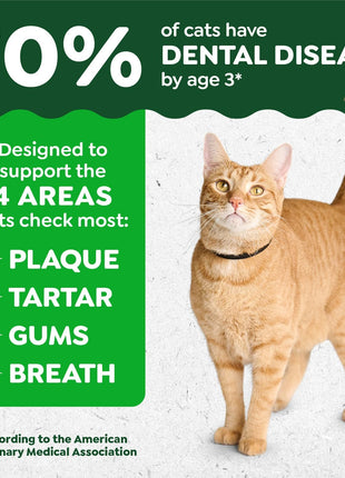 Greenies Cat Treats, Feline Veterinarian-Recommended Adult Natural Dental Treats, Catnip Flavor, 9.75 oz. Tub