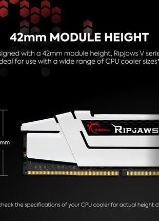 G.SKILL RipjawsV Series DDR4 RAM (XMP) 32GB (2x16GB) 3200MT/s CL16-18-18-38 1.35V Intel AMD Desktop Computer Memory U-DIMM - Black (F4-3200C16D-32GVK)