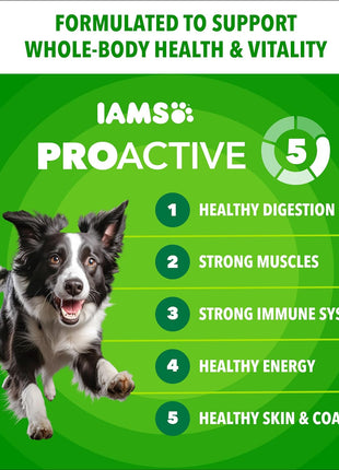IAMS Proactive Health Minichunks Adult Dry Dog Food with Real Chicken, 30 lb. Bag