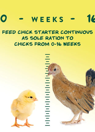 Manna Pro Medicated Chick Starter Grower Feed, Dried High Protein Chicken Food Crumbles with Amprolium for Coccidiosis Prevention, Complete Chicken Feed for Baby Chicks, 5 lb Bag