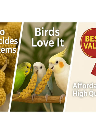 Nemeth Farms Spray Millet - Edible Tops Only, Non-GMO and Sun-Dried - 1 lb for Parakeets, Canaries and Finches