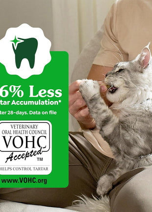 Greenies Cat Treats, Feline Veterinarian-Recommended Adult Natural Dental Treats, Catnip Flavor, 9.75 oz. Tub
