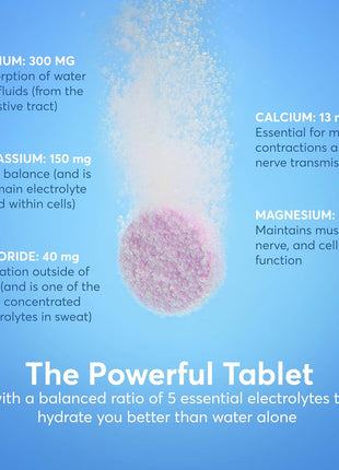 Nuun Sport Electrolyte Tablets with Magnesium, Calcium, Potassium, Chloride & Sodium, Gluten Free & Vegan, Mixed Flavors, 6 Pack (60 Servings Total)