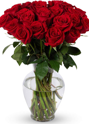 Benchmark Bouquets - Red Roses Bouquet - Fresh Flowers for Delivery - Real Roses - Two Dozen Long Stem Roses for Anniversary - Romantic Gift Set - Gifts for Women (Glass Vase Included)