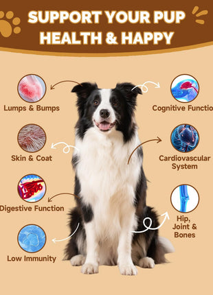 9 in 1 Mushroom Supplement for Dogs - Digestive, Cellular, Immune Health Support, Mushroom Immune Dog Chews Turkey Tail Mushroom for Dogs - Gut, Skin, Joint, Immune Health- Dog Lumps & Bumps
