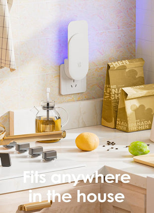 Flying Insect Trap, 2 in 1 Indoor Plug-in Fruit Fly Trap, 1 Trap White and 6 Glue Cards, Fruit Fly Traps for Gnat, Moth, Mosquito, Suitable for Every Part of The Home