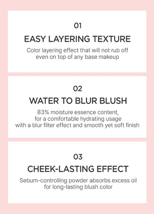Artist Cushion Blush | Merry Pink