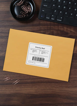 Quality Park 6 x 9 Clasp Envelopes, Clasp and Gummed Closures for Storing or Mailing, 28 lb Kraft Paper, 100 per Box (QUA37855)
