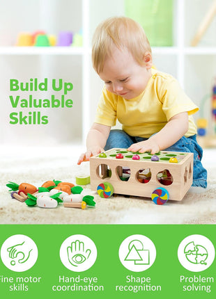 Coogam Montessori Fine Motor Toys for Baby Toddler, Wooden Shape Sorter Carrot Harvest Game for Easter Basket Stuffer, Preschool Learning Educational Gift Toy for 3 4 5 Year Old
