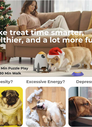 Interactive Dog Puzzle Feeder Toy, Automatic Dogs Treat Dispenser for IQ Training & Slow Feeder, Dog Food Dispenser with Remote Button, Suitable for Indoor or Outdoor Play, All Breeds, OtterVerz 11