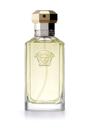 Versace The Dreamer for Men 3.4 oz Eau de Toilette Spray