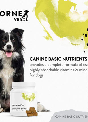 B ComplexVet, Canine Basic Nutrients, and Joint Support Formula Soft Chews Bundle