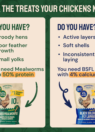 Hatortempt Dried Mealworms - Non-GMO & Organic - High-Protein Mealworms for Wild Bird Food, Ducks & Chickens (5lb)