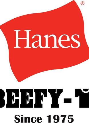 Hanes Mens Beefyt T-shirt, Heavyweight Cotton Crewneck Tee, 1 Or 2 Pack, Available In Tall Sizes Fashion-t-shirts, White - 1 Pack, Large US