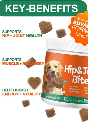 11-in-1 Dog Multivitamin Supplement with Glucosamine - 120 Soft Chews - Hip & Joint, Pet Immune Support, Heart, Skin & Coat, Digestion - Senior & Puppy Multivitamin for Dogs