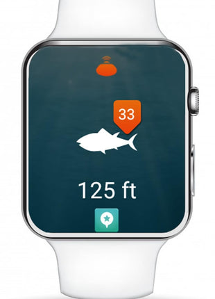 Reelsonar iBobber portable wireless bluetooth fish finder depth finder with depth range of 135 feet 10+ hrs battery life with IOS & Android App Wireless and Watch App