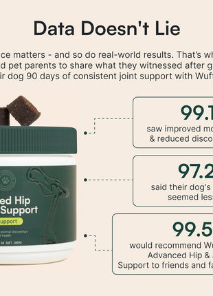 Wuffes Advanced Dog Hip and Joint Supplement with Glucosamine, Chondroitin, Omega 3, MSM, and Green Lipped Mussel, 60 Pork Flavored Chews for Small and Medium Dog Breeds