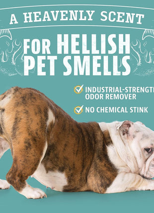 ANGRY ORANGE Pet Odor Eliminator for Dog and Cat Urine, Carpet Stains, and Strong Smells 芒聙聯 Citrus Cleaner with Natural Orange Oil 芒聙聯 24 oz