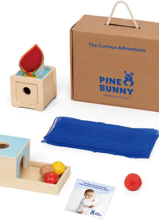 Pine Bunny Montessori Wooden 10-in-1 Toy Set for 7+ Months, Object Permanence Box, Egg and Cup, Tissue Box, Fabric Blocks, Scarf, Educational Learning Sensory Development Fine Motor Skills Baby Toys
