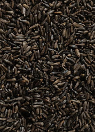Happy Wings Nyjer/Thistle Seeds Wild Bird Food - 5 Pounds I No Grow Seed I Bird Seed for Wild Birds