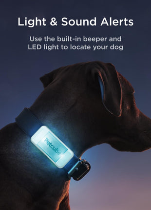 Petcube All Devices Pack: Cam, Cam 360, Bites 2 Lite, Play 2, GPS Tracker (All in one App)