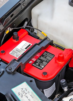 OPTIMA?Batteries High Performance 6V REDTOP?Sealed AGM 6V Battery