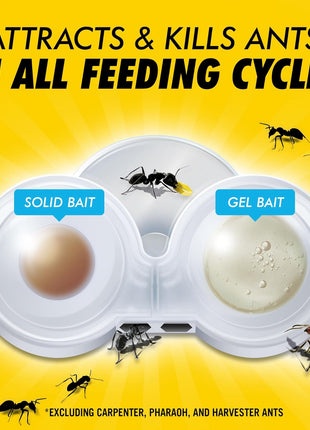 Combat Max 2 in 1 Ant Bait Station, 4 Count
