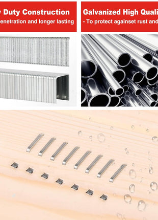 SHALL Heavy Duty T50 Staples and 18GA Brad Nails Combo Kit, 8000-Count, Four Sizes of T50 Staples for Staple Gun Including 1/4, 5/16, 3/8, 1/2 Inch and Two Sizes of Brad Nails Including 1/2, 9/16 Inch