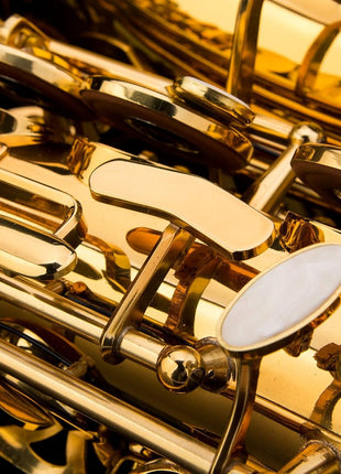 Glory Gold Laquer E Flat Alto Saxophone with 11reeds,8 Pads cushions,case,carekit