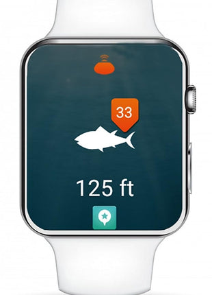 Reelsonar iBobber portable wireless bluetooth fish finder depth finder with depth range of 135 feet 10+ hrs battery life with IOS & Android App Wireless and Watch App