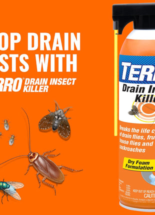 TERRO Fruit Fly Traps for Indoors (4 Pack) + 180 Days of Lure Supply