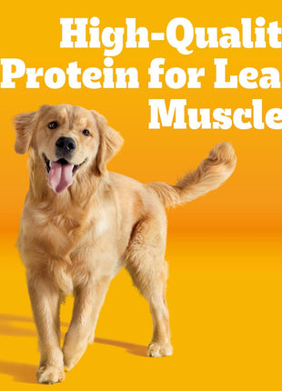 Pedigree Adult Dry Dog Food, Complete Nutrition, Grilled Steak & Vegetable Flavor, 18 lb. Bag