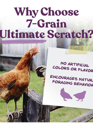 Manna Pro 7-Grain Ultimate Chicken Scratch Treat, Non-GMO, 10 lb Bag | 7-Grain Scratch Treat Blend, Non-GMO Ingredients, Natural Multigrain Recipe, For Chickens, Hens & Backyard Flocks